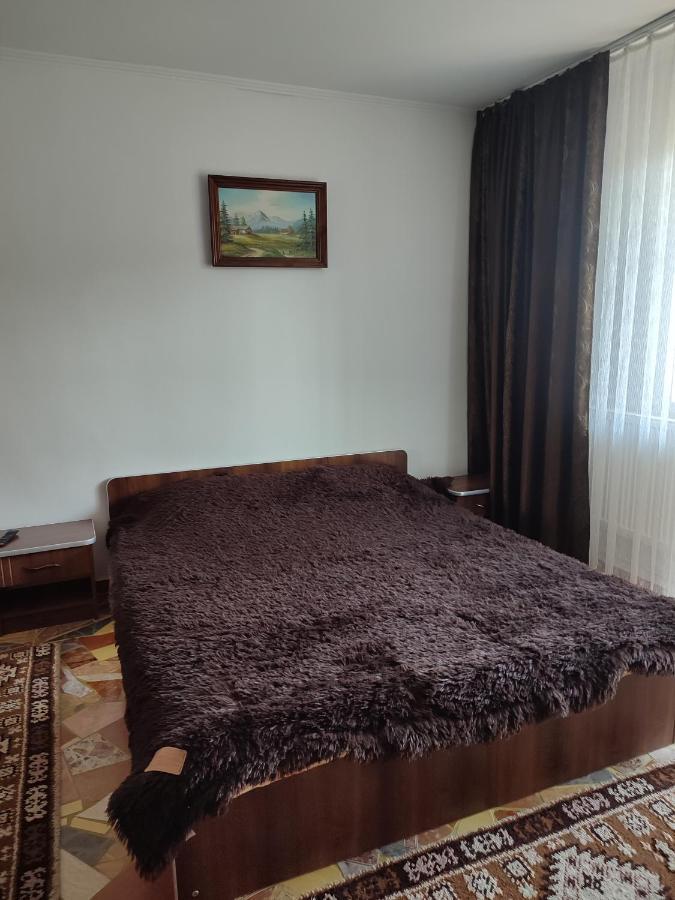 Mînăstirea Humorului Casa Irilen酒店 外观 照片